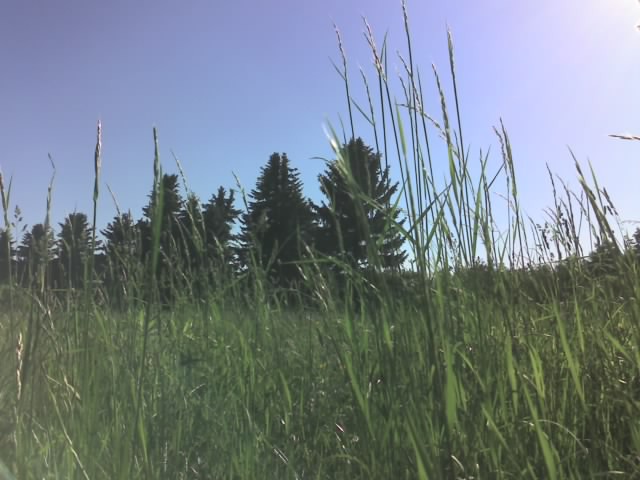 18.08.2010 9:40:39