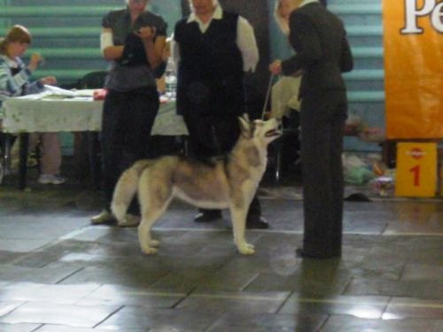 23.08.2010 21:20:10