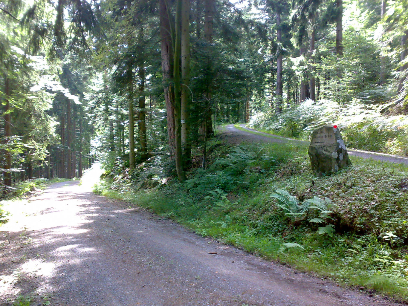 26.08.2010 16:44:54