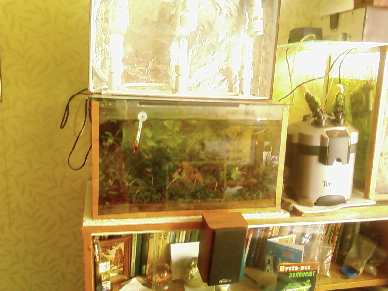 29.08.2010 14:09:39