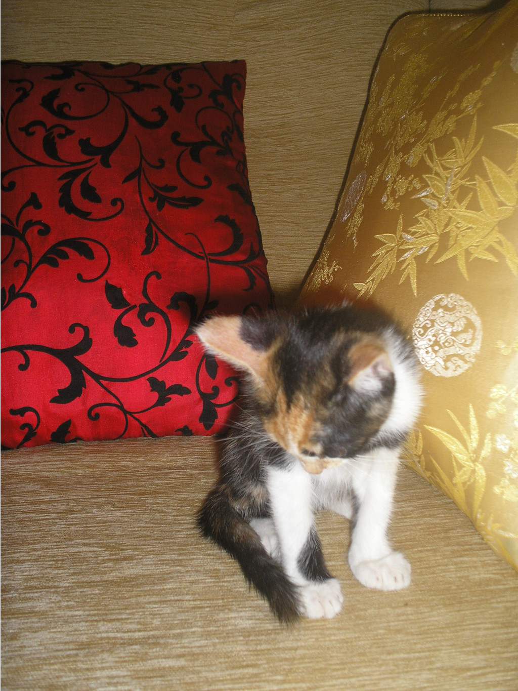 01.09.2010 14:24:51