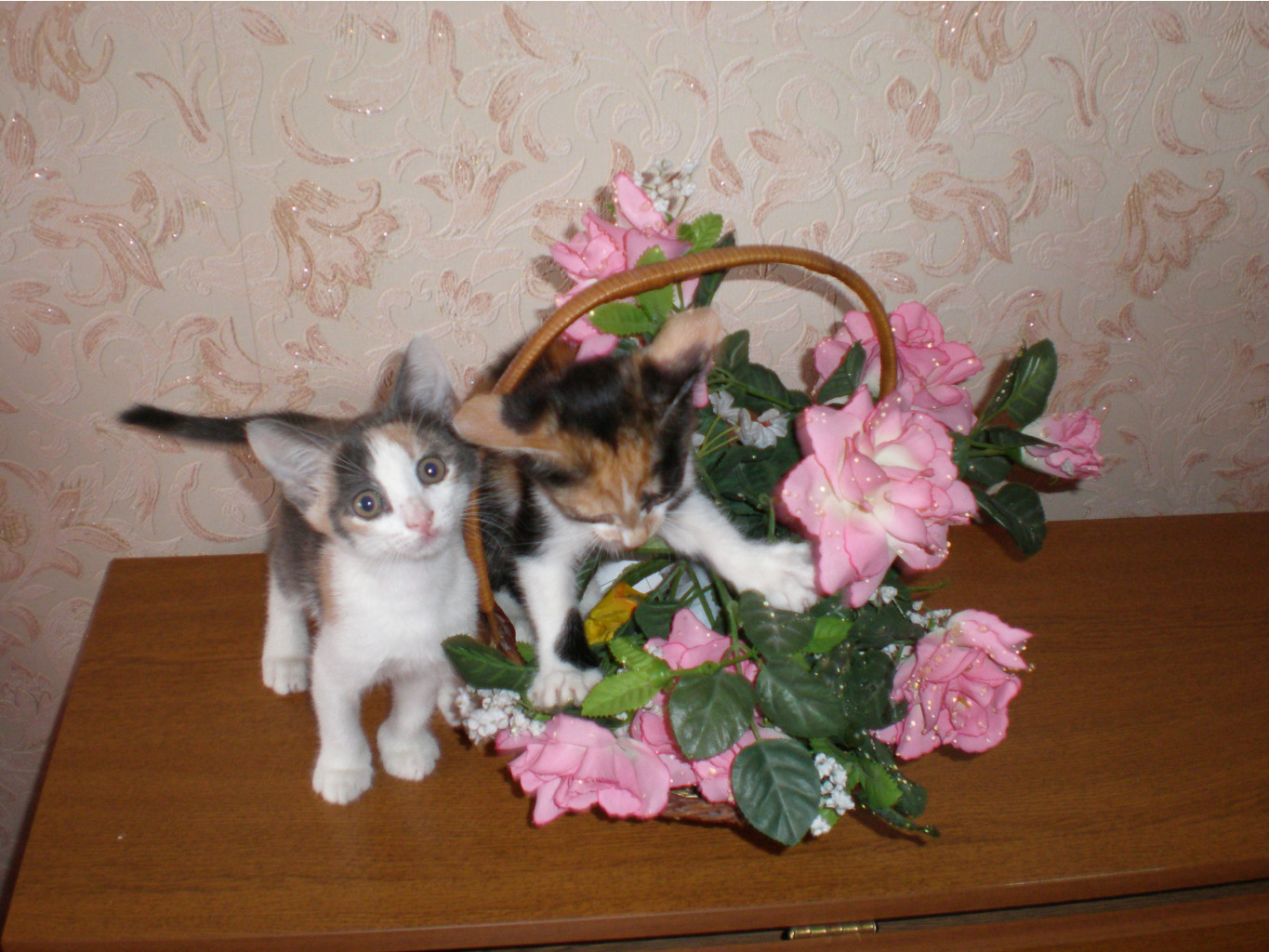 01.09.2010 14:40:03