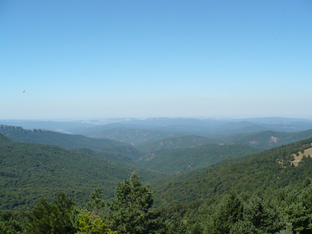 06.09.2010 23:38:40