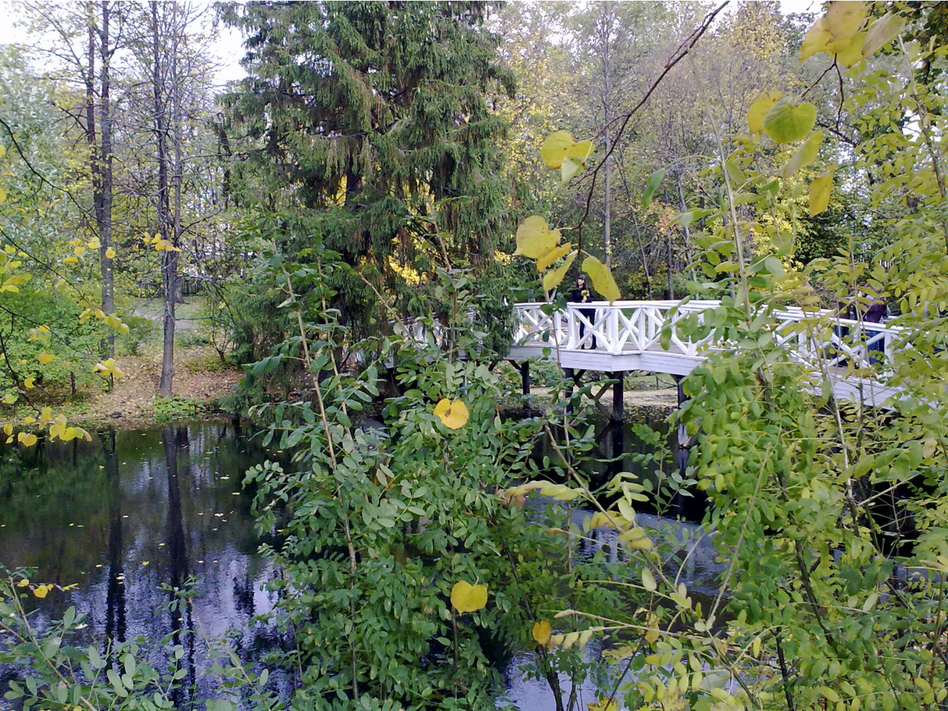 02.10.2010 12:50:26