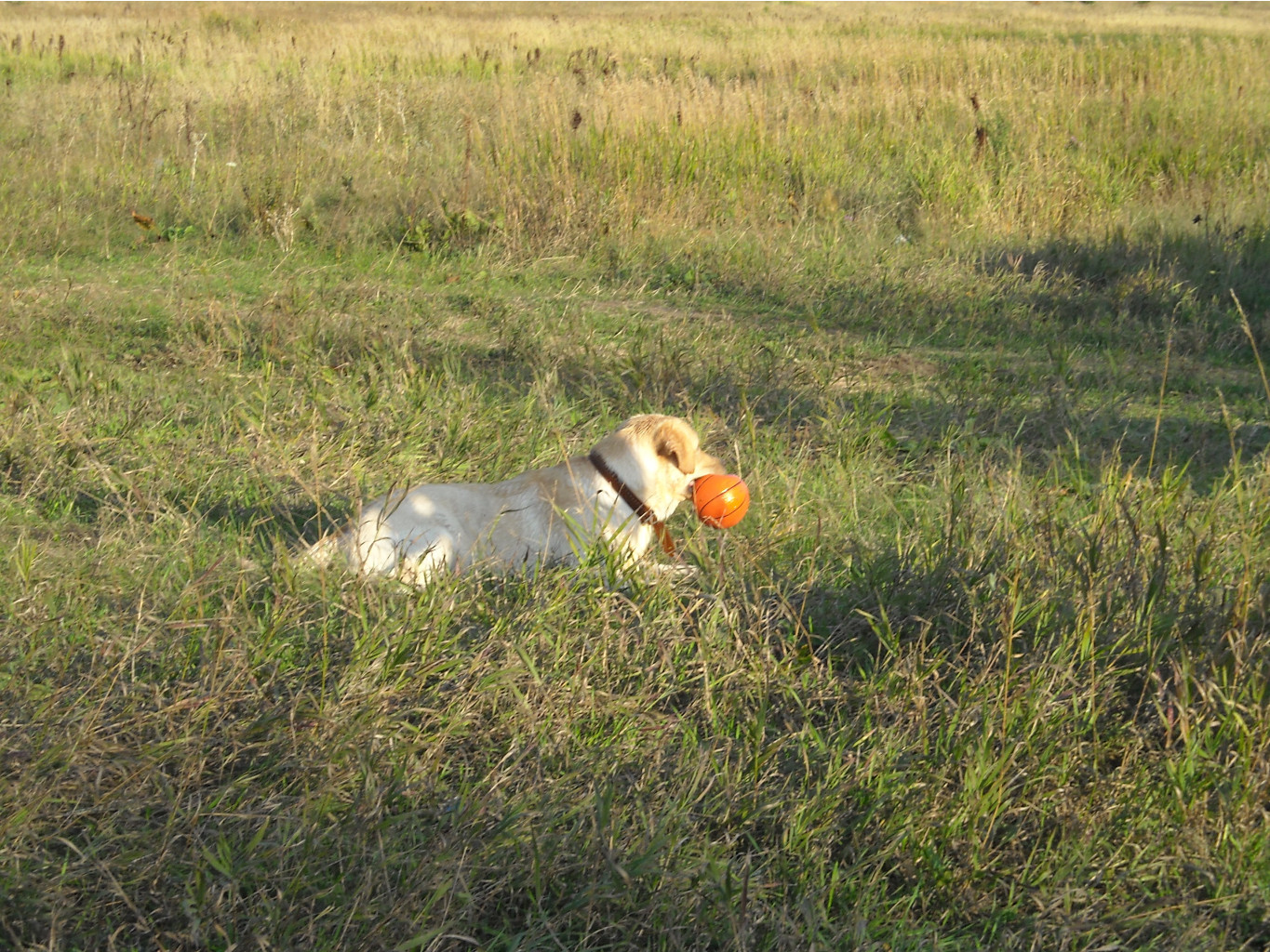06.10.2010 9:59:33