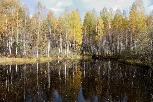 11.10.2010 17:54:44