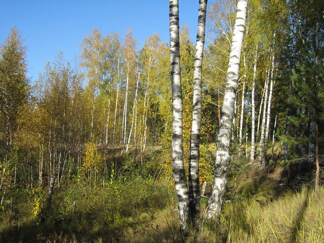 20.10.2010 19:52:05