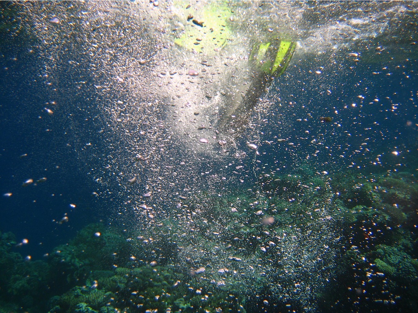 06.11.2010 16:18:48