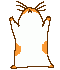 18.11.2010 19:36:40