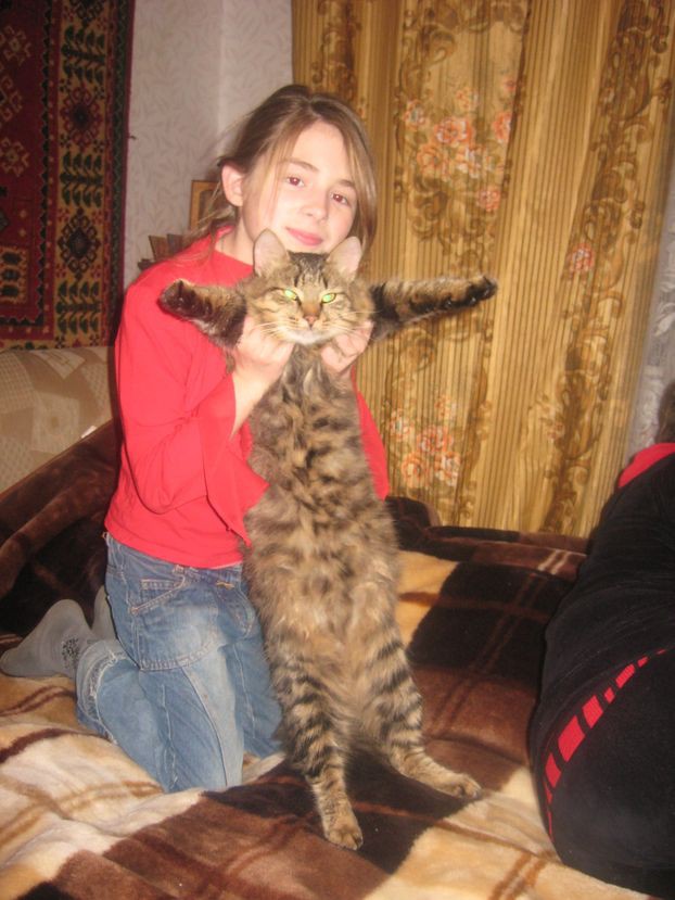 22.11.2010 19:49:08
