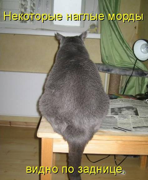 03.12.2010 12:53:58