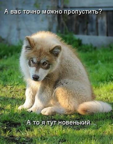 03.12.2010 12:54:02