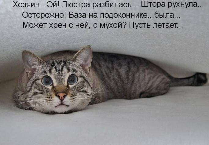 03.12.2010 12:54:05