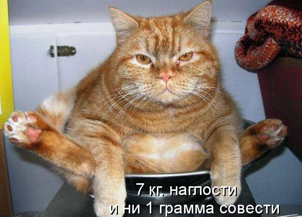03.12.2010 12:54:07