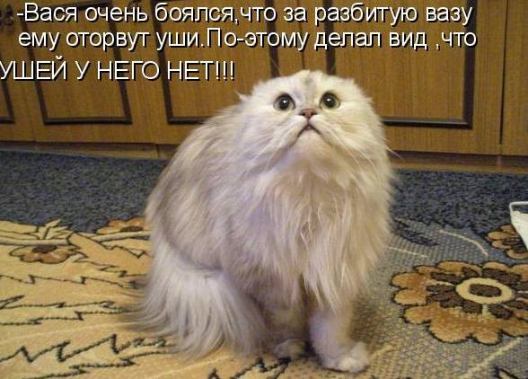 03.12.2010 12:54:16