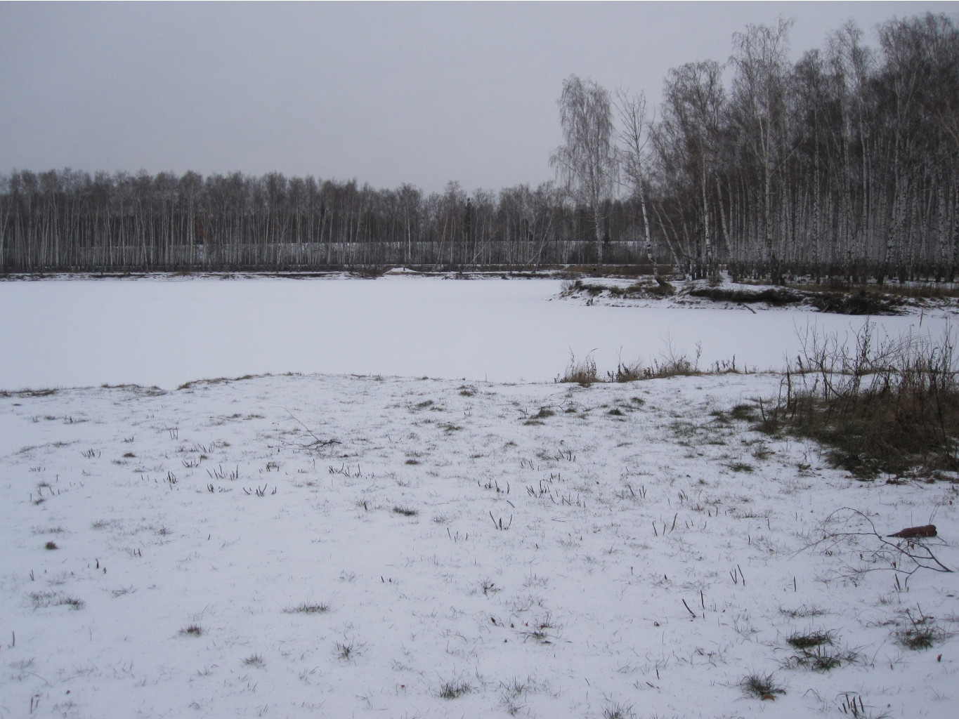 05.12.2010 19:37:06
