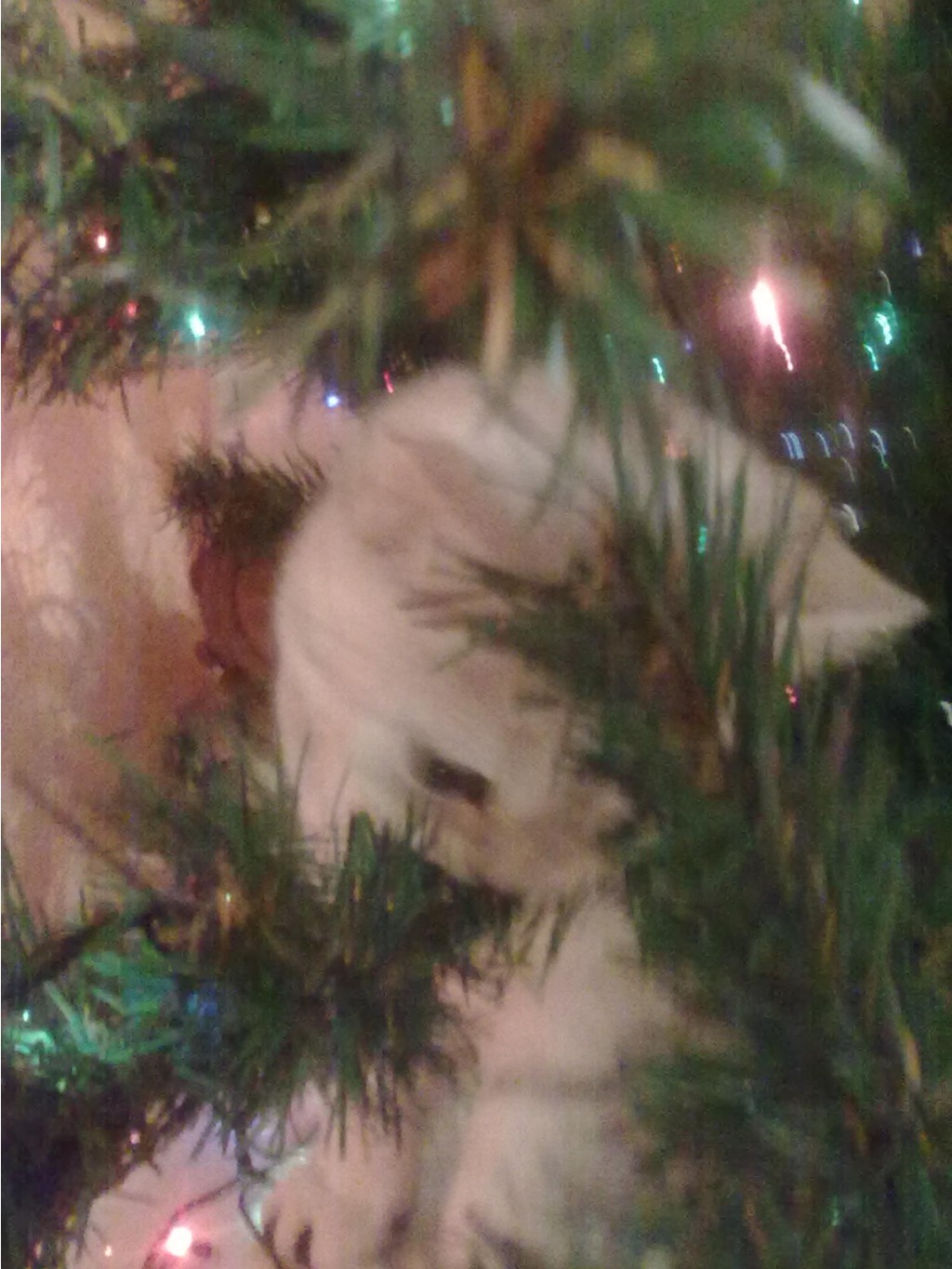 14.12.2010 15:50:47