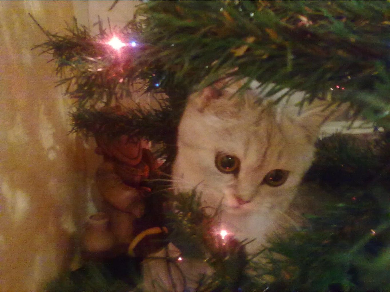 14.12.2010 17:02:52