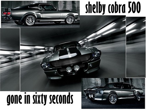 shelby cobra 500