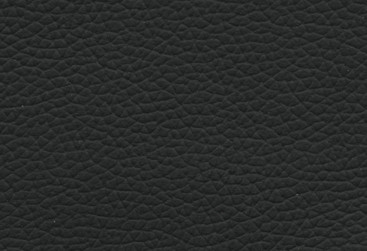 20.12.2010 13:55:56