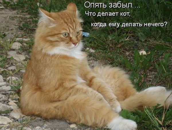 25.12.2010 14:55:32