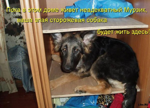 25.12.2010 14:55:38
