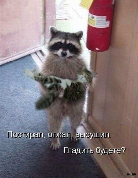 25.12.2010 14:55:41