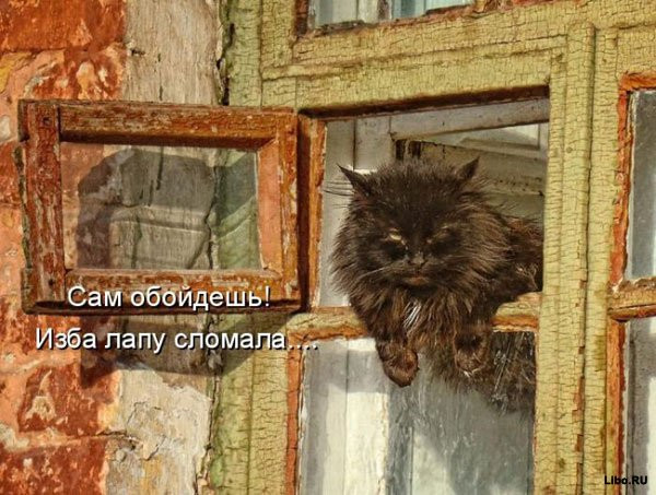 25.12.2010 14:55:46