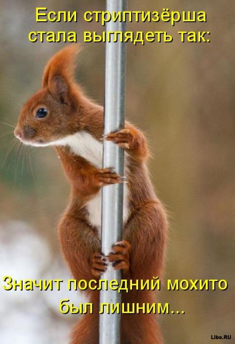 25.12.2010 14:55:48