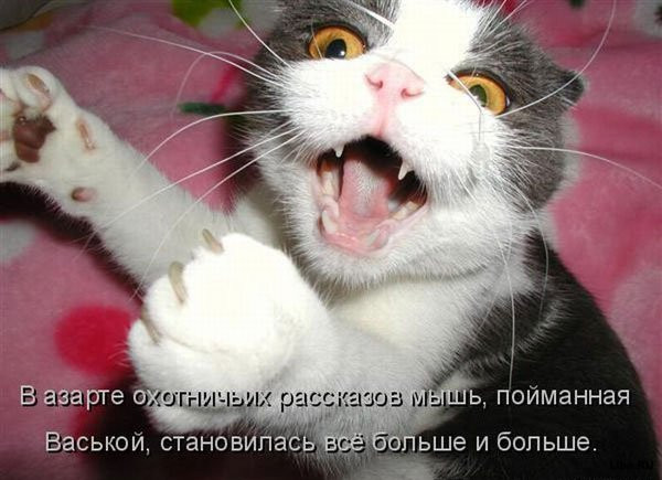 25.12.2010 14:55:48