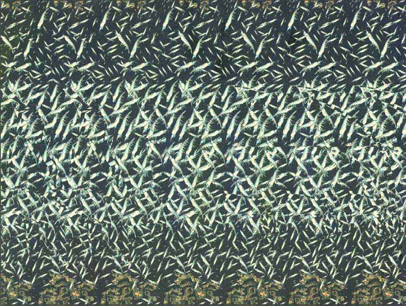 26.12.2010 10:51:31