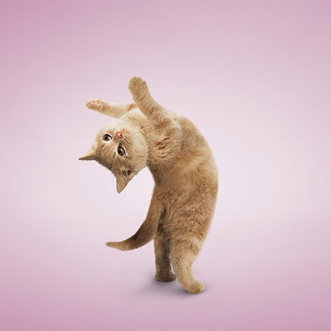 28.12.2010 21:32:15