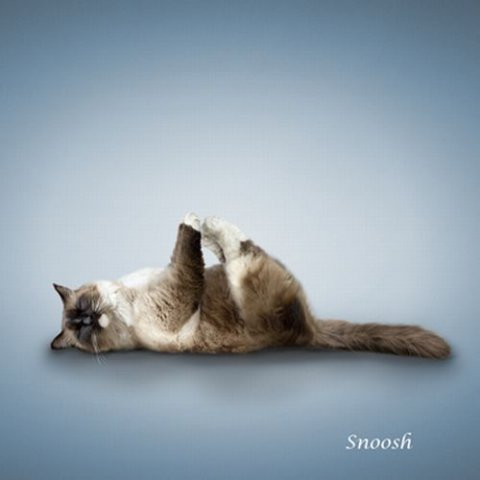 28.12.2010 21:43:29