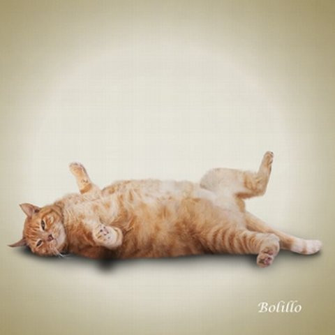 28.12.2010 21:43:34