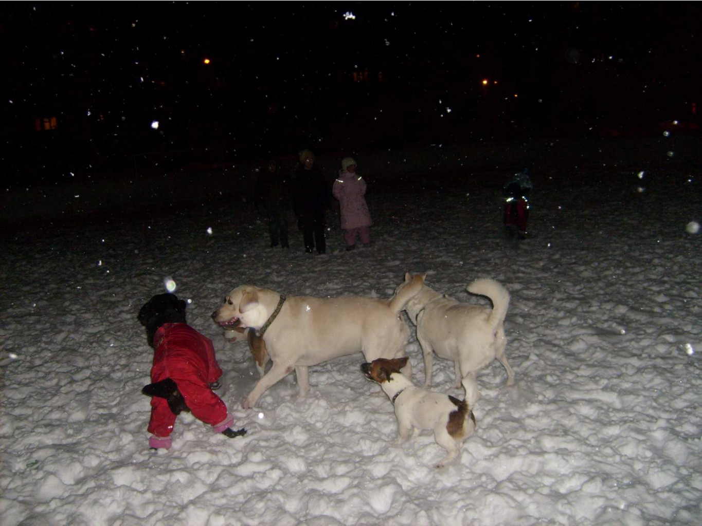 30.12.2010 23:32:32