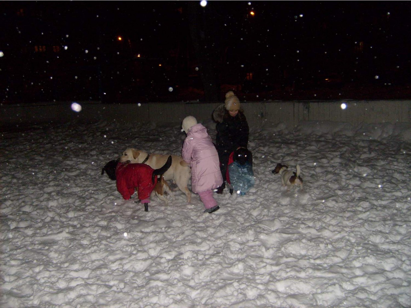 30.12.2010 23:34:02