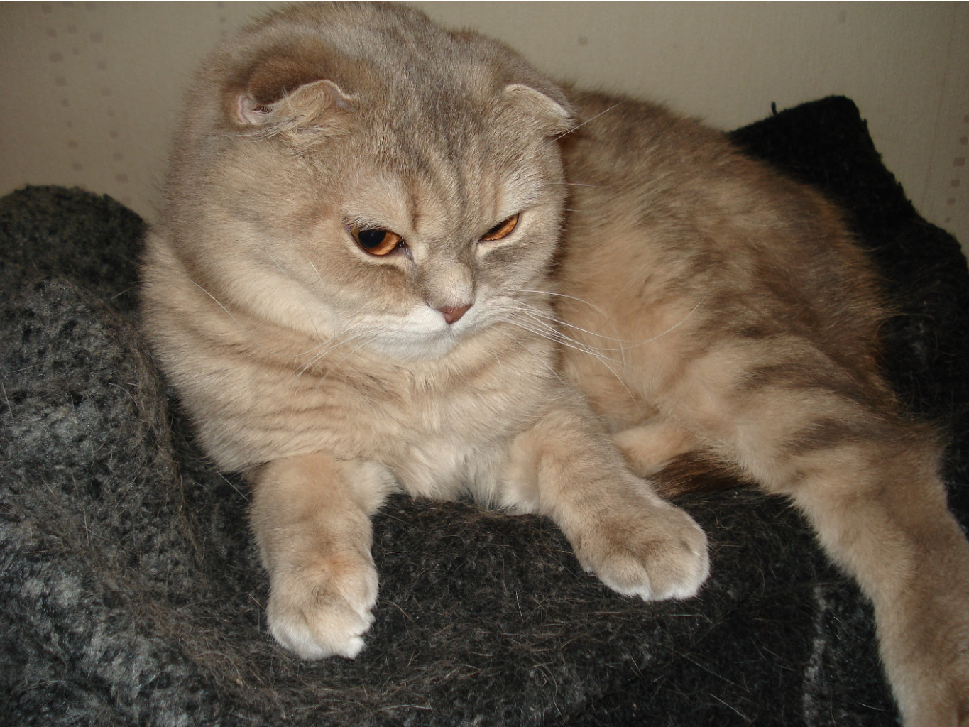 03.01.2011 19:48:24