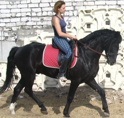 10.01.2011 16:02:42