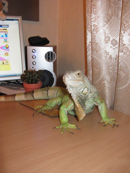 13.01.2011 17:36:44
