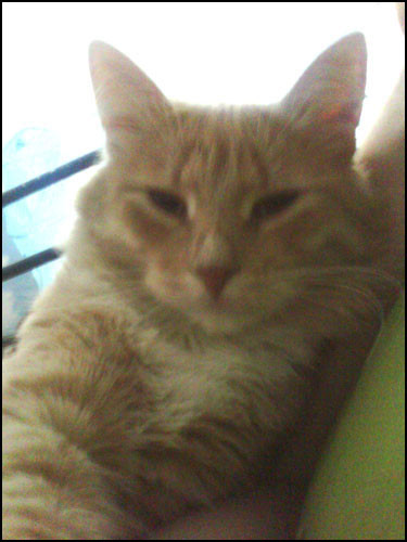 18.01.2011 11:39:42
