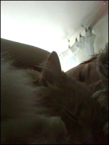 18.01.2011 11:39:48