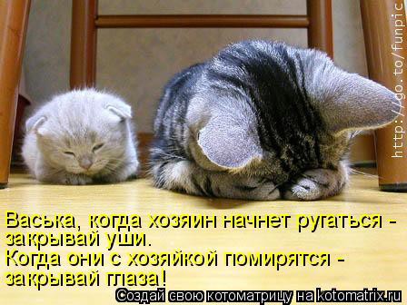 18.01.2011 20:29:32