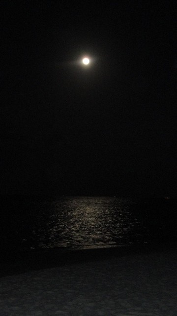 22.01.2011 19:00:21