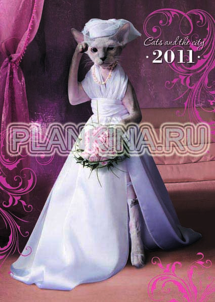 23.01.2011 1:02:26