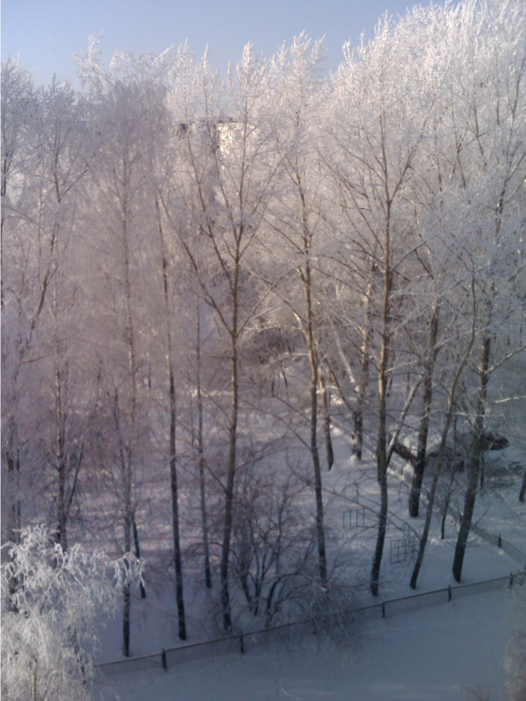 25.01.2011 23:13:44