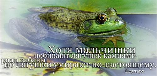 29.01.2011 21:40:48