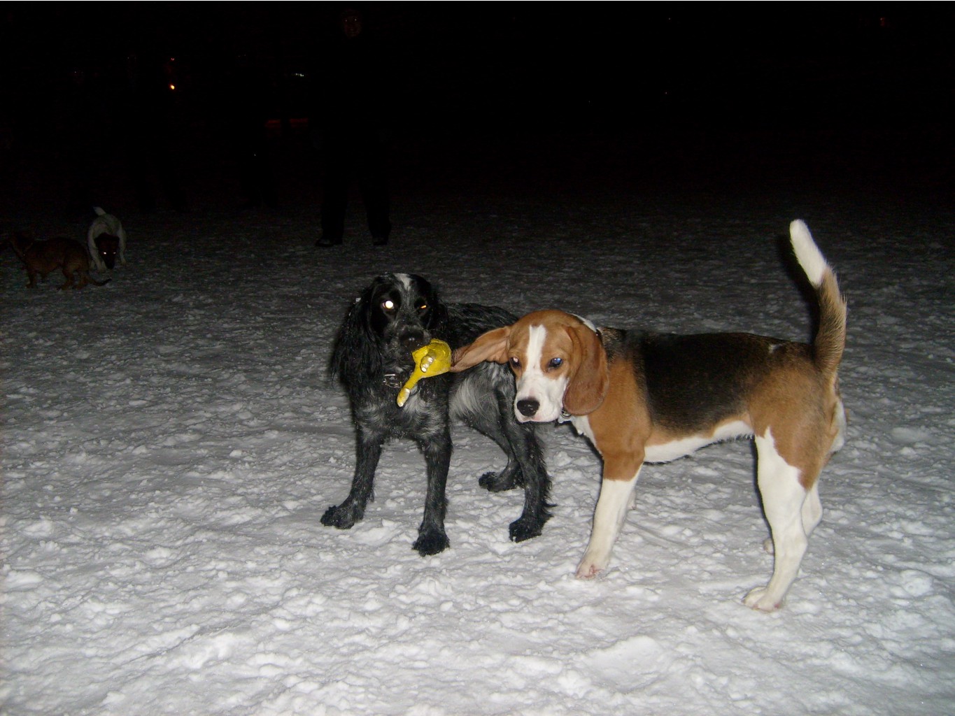30.01.2011 0:05:34