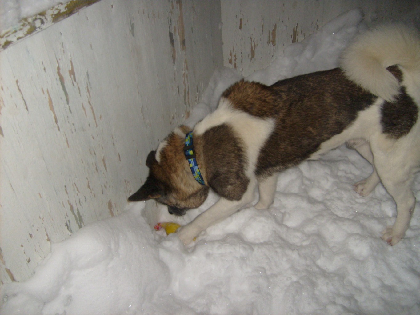 30.01.2011 0:08:03