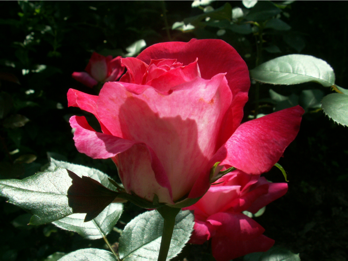  103.jpg