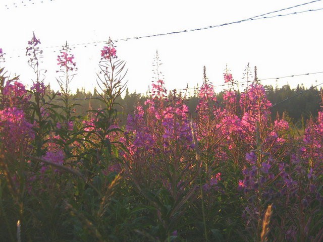 Закат